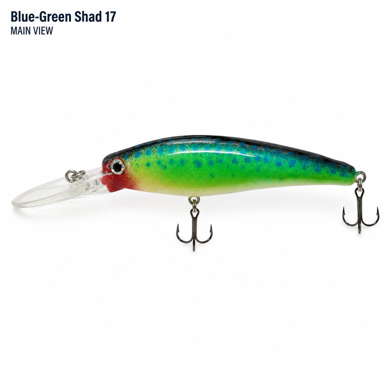 Blue-Green Shad 17