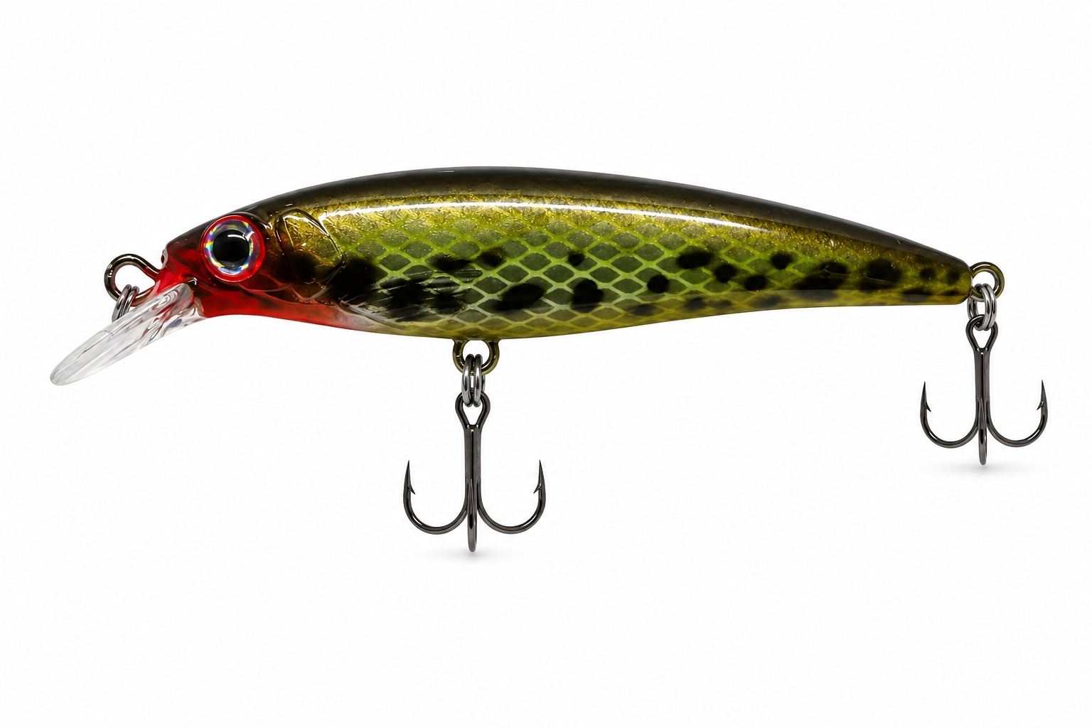 Olive Spotted Minnow 66