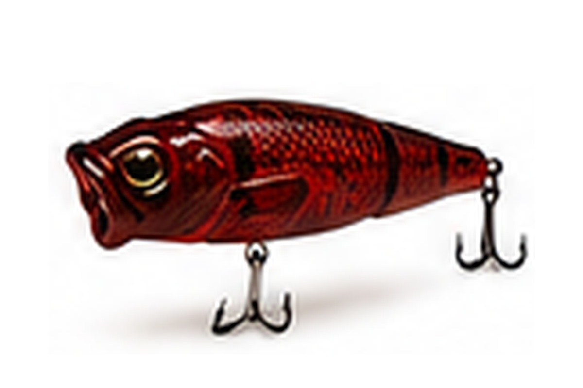 Oxblood Craw 102