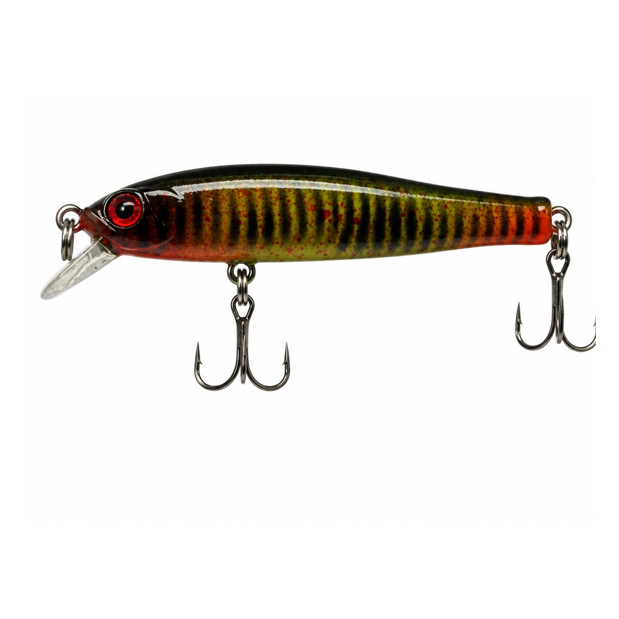 Red-Head Tiger Diver 79