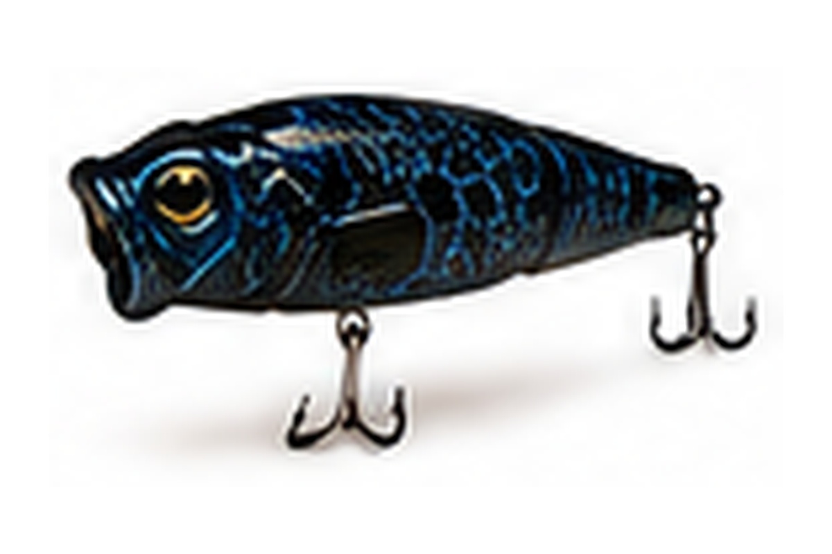 Black & Blue Craw 101