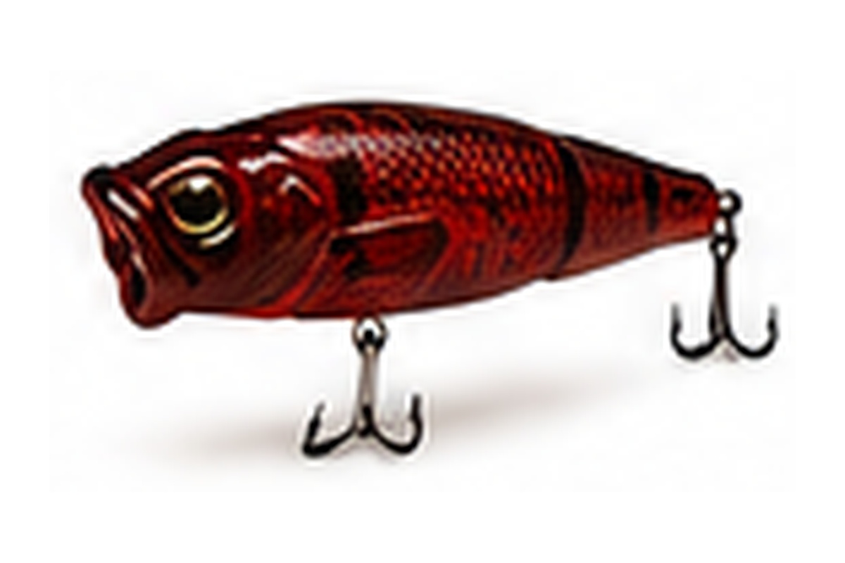 Oxblood Craw 102