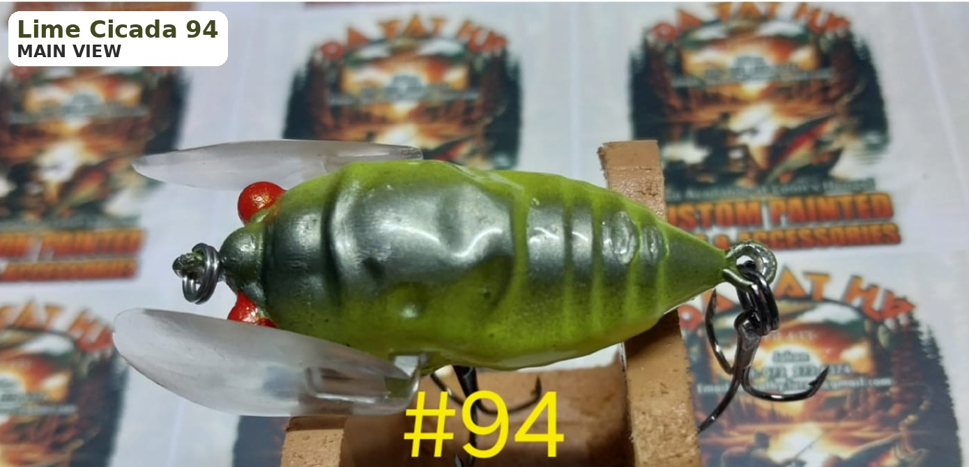 Lime Cicada 94