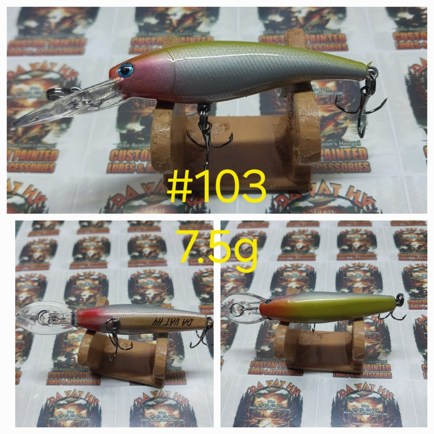 Sunrise Shiner 103 photo 4