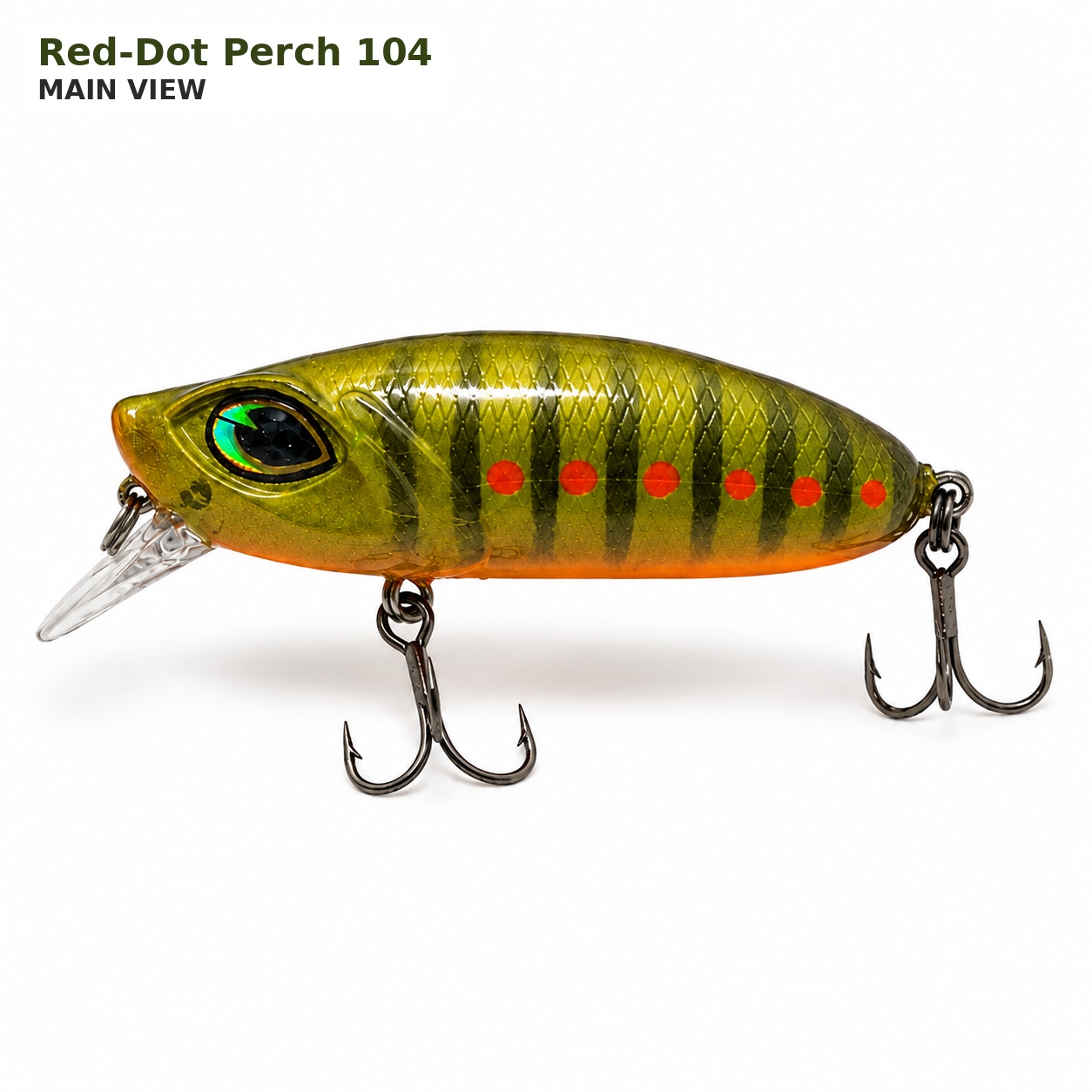 Red-Dot Perch 104